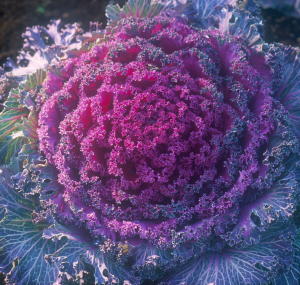 0104HABOTANN.JPG